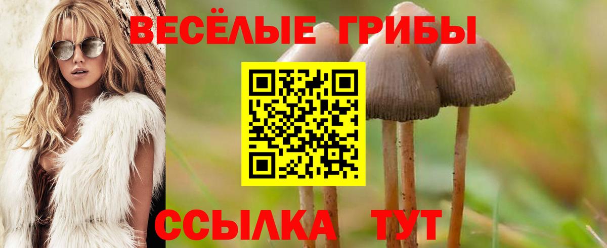 Владивосток  Галлюциногенные грибы MAGIC MUSHROOMS  Вход с VPN 